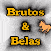 Brutos&Belas GIF - Brutos&Belas GIFs