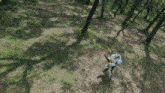 an aerial view of a person in a canoe in the woods