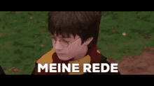Harry Harry Potter GIF - Harry Harry Potter Meine Rede GIFs