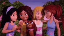 Take A Picture Girlfriends GIF - Take A Picture Girlfriends Lego Friends GIFs