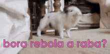 Porcos Borarebolararaba Dançando Dançar GIF - Pigs Lets Shake Our Butts Dancing GIFs