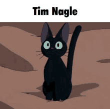 Tim Nagle Cat GIF - Tim Nagle Cat Anime GIFs