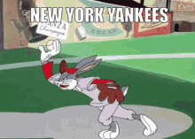 Yankees New York Yankees GIF - Yankees New York Yankees Yankees Strikeout GIFs