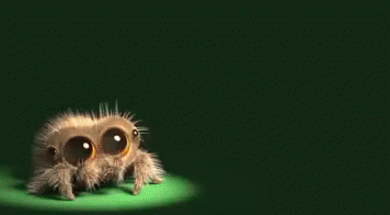 Lucas The Spider Encore GIF - Lucas The Spider Encore Small Spider ...