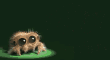 Lucas The Spider Encore GIF - Lucas The Spider Encore Small Spider GIFs