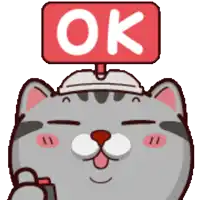 a cartoon cat with a red ok sign on its head