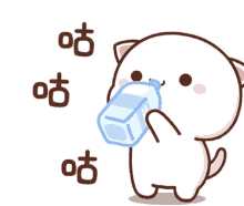 mochi drink water