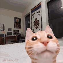 Saturnius Cat GIF - Saturnius Cat Cat Meme GIFs