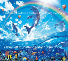 a picture of dolphins in the ocean with a caption that says how it feels to drive a freshie
