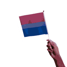 halive2022 pride flags pride flag world pride day