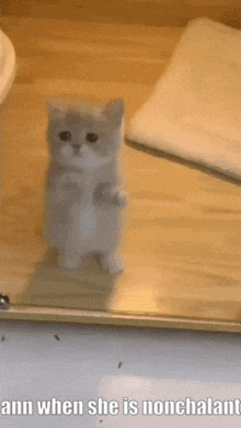 a kitten is standing on its hind legs with the caption ann when she is nonchalant