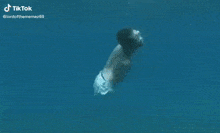 a blurred image of a body of water with a blue sky in the background .
