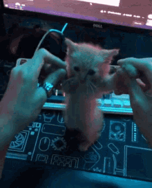 GIF
