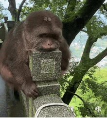 a brown monkey is sitting on a stone railing with chinese writing on its head