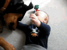 Laugh Attack! GIF - Dog Playing Baby GIFs