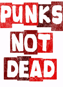 punkrocker punkrock