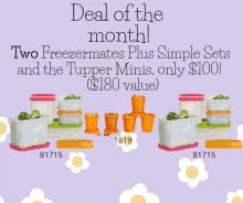 Deal Of The Month Tupperware GIF