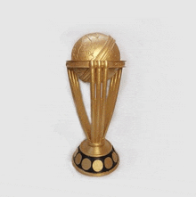a gold trophy with a globe on top of it on a white surface .