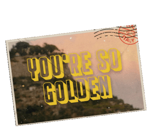Youre So Golden Harries Sticker - Youre So Golden Harries Thanks For Voting Stickers