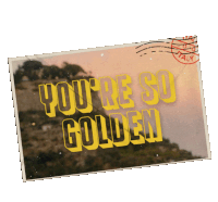 Youre So Golden Harries Sticker - Youre So Golden Harries Thanks For Voting Stickers