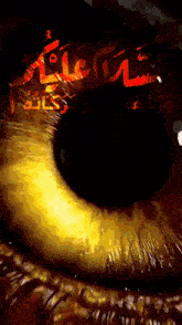 a close up of a human eye with arabic writing on it
