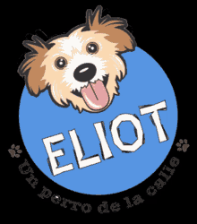 Eliot Eliot Ensenada GIF - Eliot Eliot Ensenada Perro De La Calle GIFs
