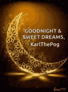 Good Night Karlthepog Goodnight Karl GIF