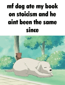 a dog is laying down with a bear on its back and the text says mf dog ate my book