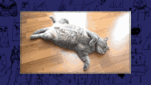 Cansado Miau GIF - Cansado Miau Descansando GIFs