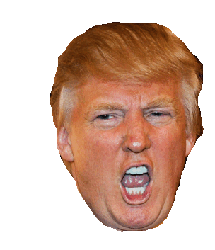 Donald Trump Face Sticker - Donald Trump Face Stickers