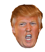 Donald Trump Face Sticker - Donald Trump Face Stickers