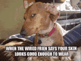Doggo Weird Frend GIF