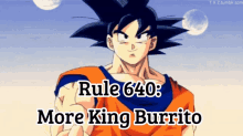 Dragon Ball Rule640 GIF