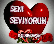 Seni̇ Sevi̇yorum Aşkim GIF