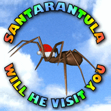 Tarantula Santarantula GIF - Tarantula Santarantula Spider GIFs