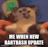 a cat is being held in someone 's arms with the words `` me when new bartbash update '' .