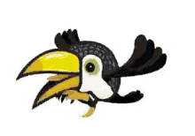 Toucan Bird GIF