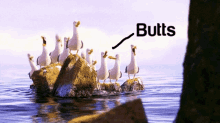 Cultofbeard Buttsbutts GIF - Cultofbeard Buttsbutts Pinkbutts GIFs
