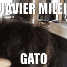 Javier Milei GIF - Javier Milei Gato GIFs