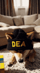 a dog wearing a black beanie with the word dea on it