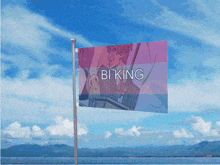 a flag with bi king written on it
