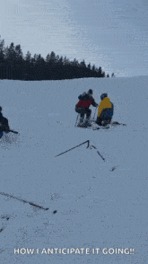 Skiing Fell Down GIF