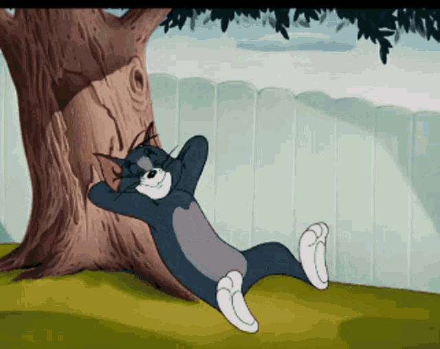 Sleep Tom And Jerry GIF - Sleep Tom And Jerry Tom The Cat GIFs