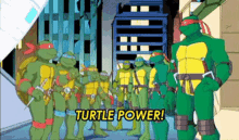 tmnt turtle power turtles forever teenage mutant ninja turtles