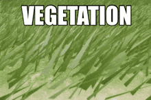 Realistic Game GIF - Realistic Game Vegetation GIFs