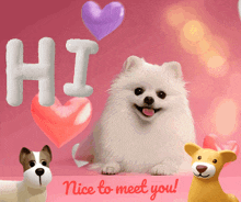 a card that says nice to meet you with a dog and hearts