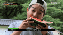 songmino watermelon