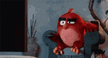 Angry Bird Mad GIF - Angry Bird Mad Pissed Off GIFs