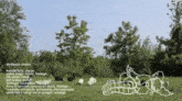 a drawing of a person in a field with the words birddrain credits