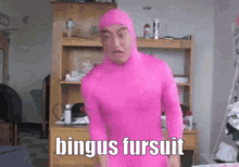 Bingus Fursuit GIF